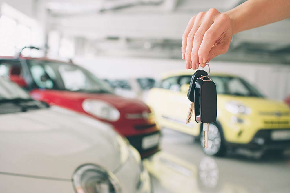 Flotta Auto TDS Rent